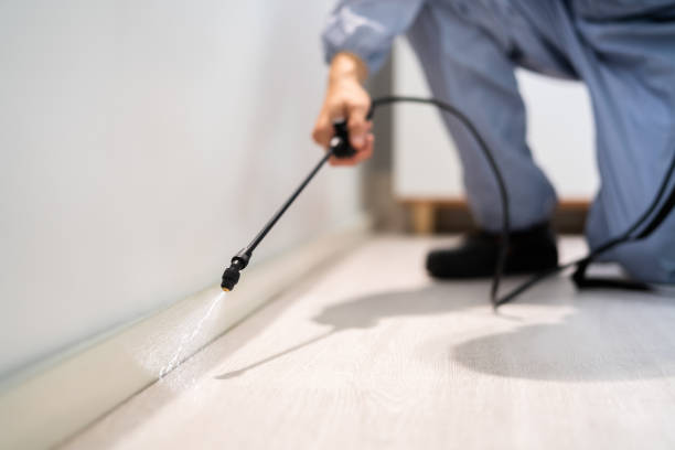 Professional exterminator conducting IPM assessment in Lemont